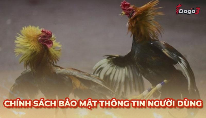 Chính sách bảo mật thông tin người dùng tại aerodreams.in