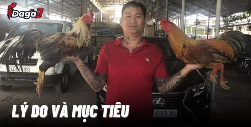 Mít Trà Cú sáng lập trang đá gà trực tiếp aerodreams.in